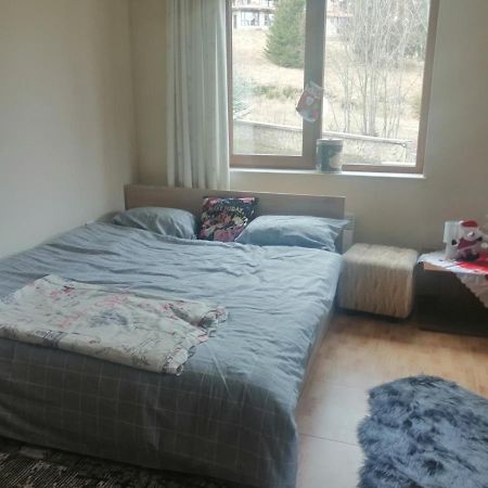 Apartment Dream Pamporovo Buitenkant foto